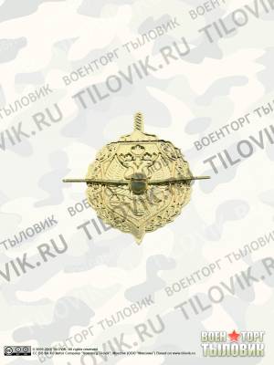 Эмблема ( знак ) петличная ( петлица ) Пограничная служба ФСБ золотистая (2102186) - HAKKI.RU