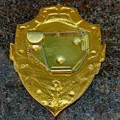 Знак ( жетон ) нагрудный ПОМОЩНИК ДЕЖУРНОГО ПО ДИВИЗИОНУ (2304016) - ВОЕНТОРГ ТЫЛОВИК