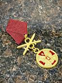 Знак фрачный МЕДАЛИ ОРДЕНА ЗА ЗАСЛУГИ ПЕРЕД ОТЕЧЕСТВОМ 1 СТЕПЕНИ с мечами на пимсе (2302206) - ВОЕНТОРГ ТЫЛОВИК