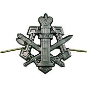 Эмблема ( знак ) петличная ( петлица ) ФСИН России защитная (2102005) - ВОЕНТОРГ ТЫЛОВИК