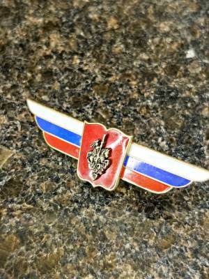 Знак должностной Начальника высшего военного училища ( ВВУ ) закрутка (2309026) - HAKKI.RU