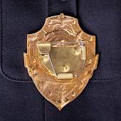 Знак ( жетон ) нагрудный Помощник дежурного по полку (2304027) - ВОЕНТОРГ ТЫЛОВИК