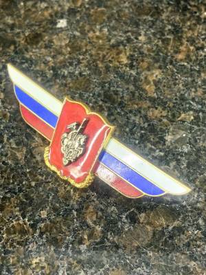 Знак должностной Военной академии / университета закрутка (2309030) - HAKKI.RU
