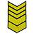 Знак - годичка ( нашивка шеврон ) нарукавный за выслугу лет ( по годам службы ) 13 лет вышитый (2508038) - HAKKI
