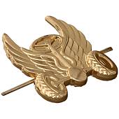 Эмблема ( знак ) петличная ( петлица ) Автомобильных войск нового образца золотистая (2102009) - ВОЕНТОРГ ТЫЛОВИК