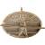 Эмблема ( знак ) петличная ( петлица ) Космических войск золотистая (2102089) - HAKKI.RU Эмблема ( знак ) петличная ( петлица ) Космических войск золотистая (2102089) - HAKKI.RU