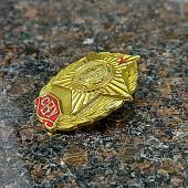 Знак нагрудный СВУ ( Суворовское военное училище ) закрутка золотистый (2301077) - ВОЕНТОРГ ТЫЛОВИК