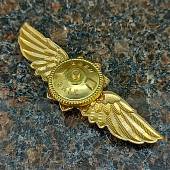Знак нагрудный Классность офицерского состава ФСО России МАСТЕР закрутка (2301295) - ВОЕНТОРГ ТЫЛОВИК