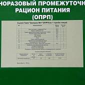 Индивидуальный рацион питания ( ИРП сухпаек сухпай ) АРМЕЙСКИЕ БУДНИ разовый Завтрак № 1 ОПРП промежуточный до 01.05.2024 г (3312100) - ВОЕНТОРГ ТЫЛОВИК