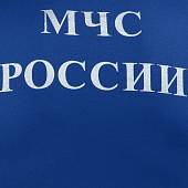 Футболка форменная МЧС России уставная мод. Фс002  синяя (1208323) - ВОЕНТОРГ ТЫЛОВИК