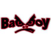 Наклейка на авто виниловая светоотражающая Bad Boy 13х6 (12016026) - ВОЕНТОРГ ТЫЛОВИК