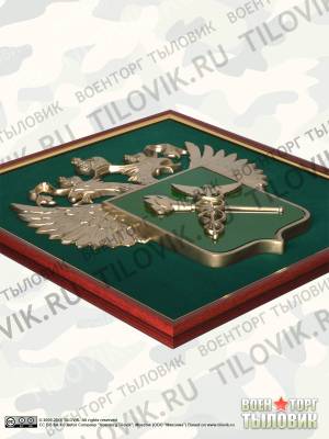 Эмблема с символикой ФТС 51х55 см [ (4406081) - HAKKI.RU