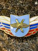 Знак должностной Командира учебной части ВКС закрутка (2309062) - ВОЕНТОРГ ТЫЛОВИК