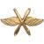 Эмблема ( знак ) петличная ( петлица ) ВВС России золотистая (2102086) - HAKKI.RU Эмблема ( знак ) петличная ( петлица ) ВВС России золотистая (2102086) - HAKKI.RU