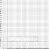 Наклейка на авто виниловая Трофейная 12х70 белая (12011058) - ВОЕНТОРГ ТЫЛОВИК