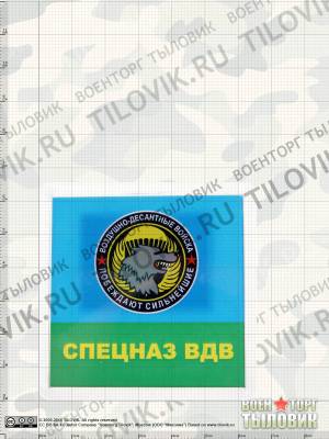 Магнит Спецназ ВДВ. Побеждают сильнейшие 65х65 мм (4404160) - HAKKI.RU