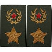 Фальш-погоны ( фальш погоны муфта ) ВС РФ повседневные на поло Генерал армии олива золото 5% (2214953) - ВОЕНТОРГ ТЫЛОВИК