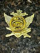 Знак фрачный ФСИН РОССИИ 19х20 мм на пимсе золотистый (2302996) - ВОЕНТОРГ ТЫЛОВИК