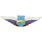 Знак должностной Начальника ведущего научно-исследовательскую деятельность ВКС закрутка (2309056) - ВОЕНТОРГ ТЫЛОВИК