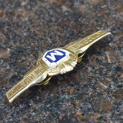 Знак нагрудный Классность рядового состава Мастер на пимсе (2301994) - HAKKI.RU