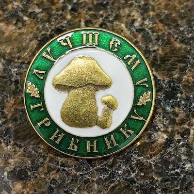 Знак нагрудный ЛУЧШИЙ ГРИБНИК на пимсе (2301608) - HAKKI.RU