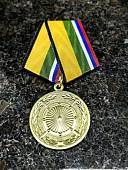 Медаль МО РФ -  За вклад в укрепление обороны Российской Федерации (2401278) - ВОЕНТОРГ ТЫЛОВИК