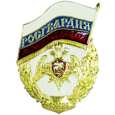Знак нагрудный ФСВНГ ( Росгвардия ) России закрутка (2301532) - HAKKI.RU