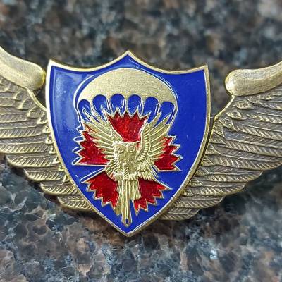 Знак нагрудный Спецназ крылья ВДВ ГРУ закрутка (2301236) - HAKKI.RU