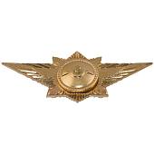 Знак нагрудный Классность офицерского состава МВД РФ 3 класс закрутка (2301017) - ВОЕНТОРГ ТЫЛОВИК
