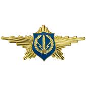 Знак нагрудный Рота почетного караула РВСН закрутка (2301056) - ВОЕНТОРГ ТЫЛОВИК