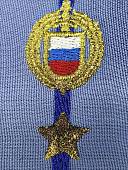 Погоны ФСО повседневные на рубашку Капитан с эмблемой машинная вышивка пластик (2225011) - ВОЕНТОРГ ТЫЛОВИК