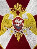 Подушка сувенирная с символикой ФСВНГ ( РОСГВАРДИЯ ) РОССИИ вышитая 35х35 краповая (4408041) - ВОЕНТОРГ ТЫЛОВИК
