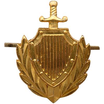 Эмблема ( знак ) петличная ( петлица ) МВД России золотистая (2102099) - HAKKI.RU