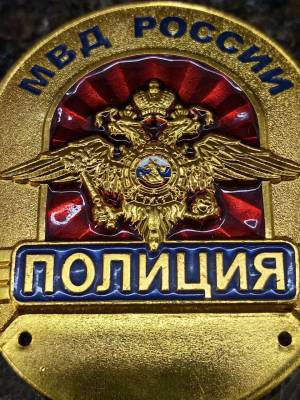 Знак ( жетон ) нагрудный ПОЛИЦИЯ МВД РОССИИ (2304801) - HAKKI.RU