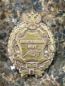 Знак фрачный Заслуженный врач России на пимсе (2302959) - ВОЕНТОРГ ТЫЛОВИК