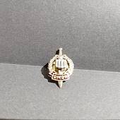 Знак фрачный ОМОН ( Кулак ) 22 мм золотистый (2302180) - ВОЕНТОРГ ТЫЛОВИК