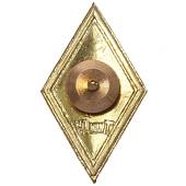 Знак нагрудный ( ромб ) об окончании ТюмГУ закрутка (2301256) - ВОЕНТОРГ ТЫЛОВИК