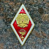 Знак нагрудный ( ромб ) Высшее медицинское образование закрутка (2301244) - ВОЕНТОРГ ТЫЛОВИК