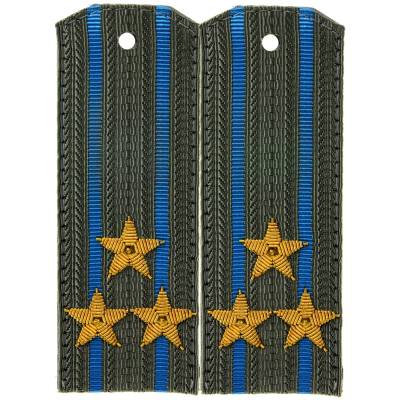 Погоны ВДВ Полковник ( ручная вышивка ) (2203055) - HAKKI.RU