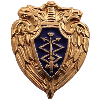 Знак фрачный Спецсвязь ФСО России на пимсе (2302053) - HAKKI.RU