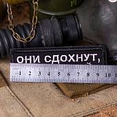 Нашивка ( шеврон патч patch ) тактическая ОНИ СДОХНУТ, А МЫ В РАЙ вышитая на липучке 10х3,5 черная (2509489) - ВОЕНТОРГ ТЫЛОВИК