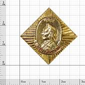 Знак фрачный СВУ ( Суворовское военное училище ) / А.В. Суворов 29х29 мм закрутка золотистый (2302960) - ВОЕНТОРГ ТЫЛОВИК