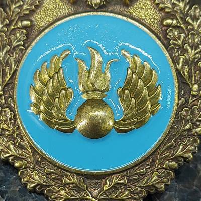 Знак нагрудный Эмблема ВДВ (2301518) - HAKKI.RU