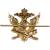 Эмблема ( знак ) петличная ( петлица ) ФССП России золотистая (2102991) - HAKKI.RU