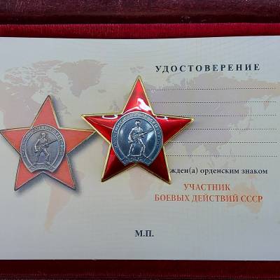 Знак нагрудный УЧАСТНИК боевых действий СССР закрутка (2301336) - HAKKI.RU
