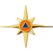 Эмблема ( знак ) петличная ( петлица ) МЧС России золотистая (2102988) - ВОЕНТОРГ ТЫЛОВИК