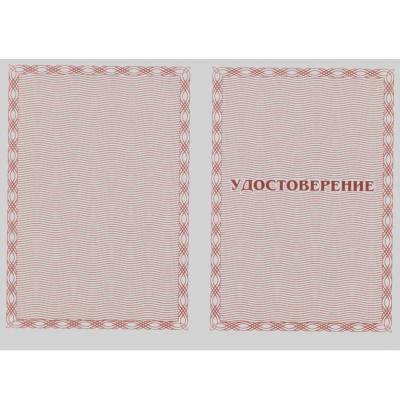 Медаль 50 лет ССО ( Студенческим строительным отрядам ) ВЛКСМ / Ветеран (2401119) - HAKKI.RU