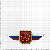 Знак должностной Командующего войсками Западного военного округа закрутка (2309006) - ВОЕНТОРГ ТЫЛОВИК