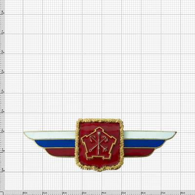 Знак должностной Командующего войсками Западного военного округа закрутка (2309006) - HAKKI.RU