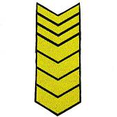 Знак - годичка ( нашивка шеврон ) нарукавный за выслугу лет ( по годам службы ) 23 года вышитый (2508048) - ВОЕНТОРГ ТЫЛОВИК